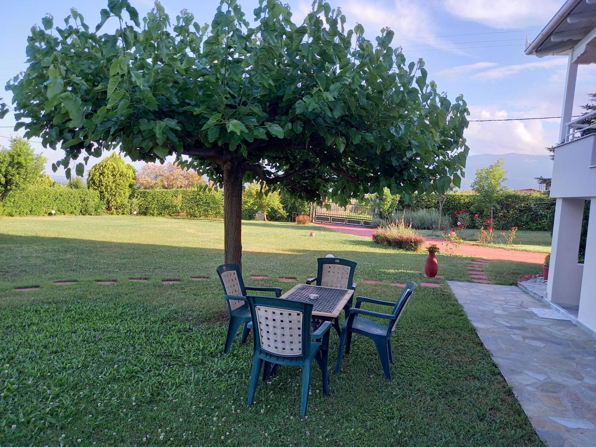 Tammy'S Garden House Villa Leptokaryá Ngoại thất bức ảnh