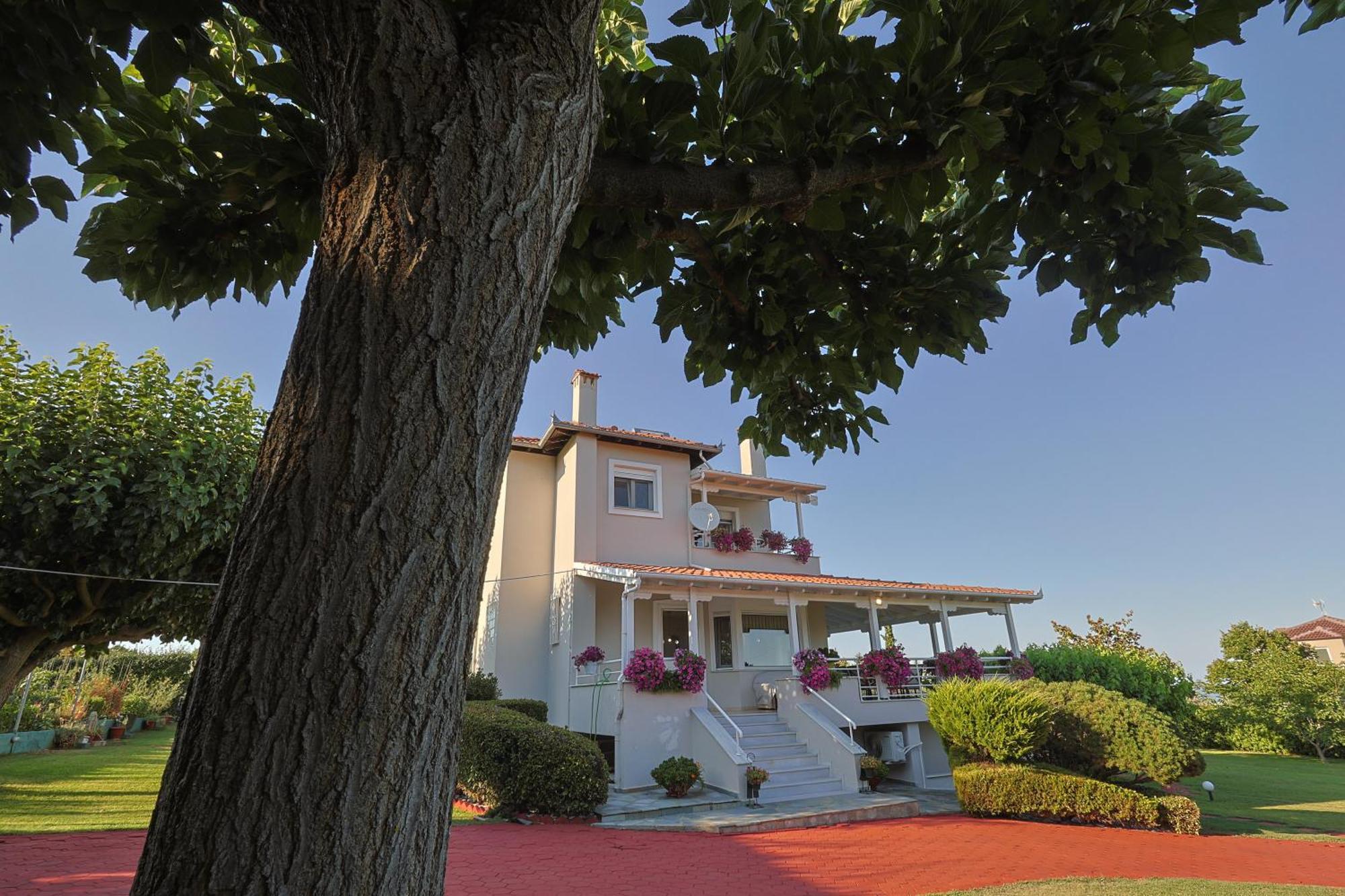 Tammy'S Garden House Villa Leptokaryá Ngoại thất bức ảnh