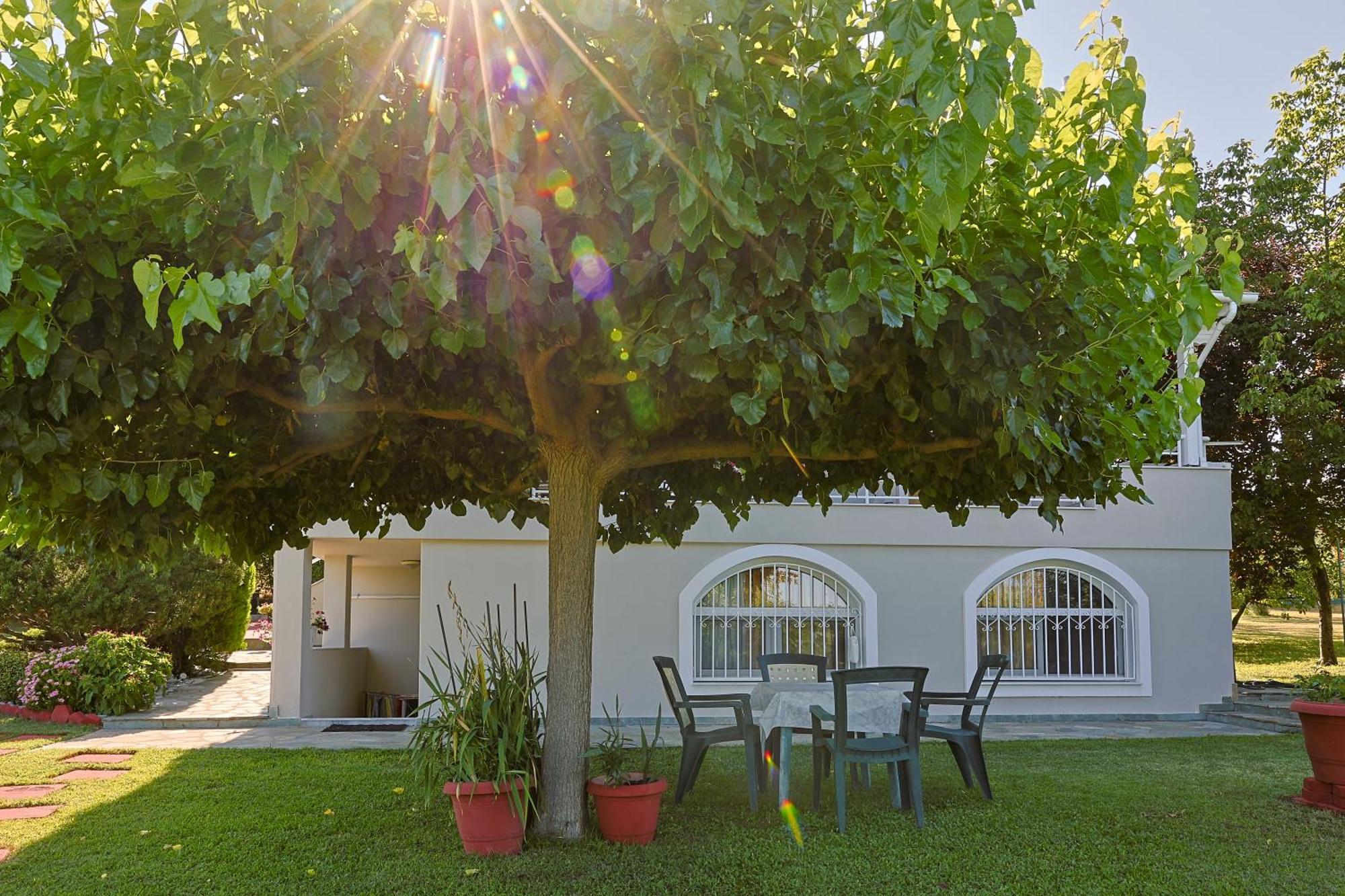 Tammy'S Garden House Villa Leptokaryá Ngoại thất bức ảnh