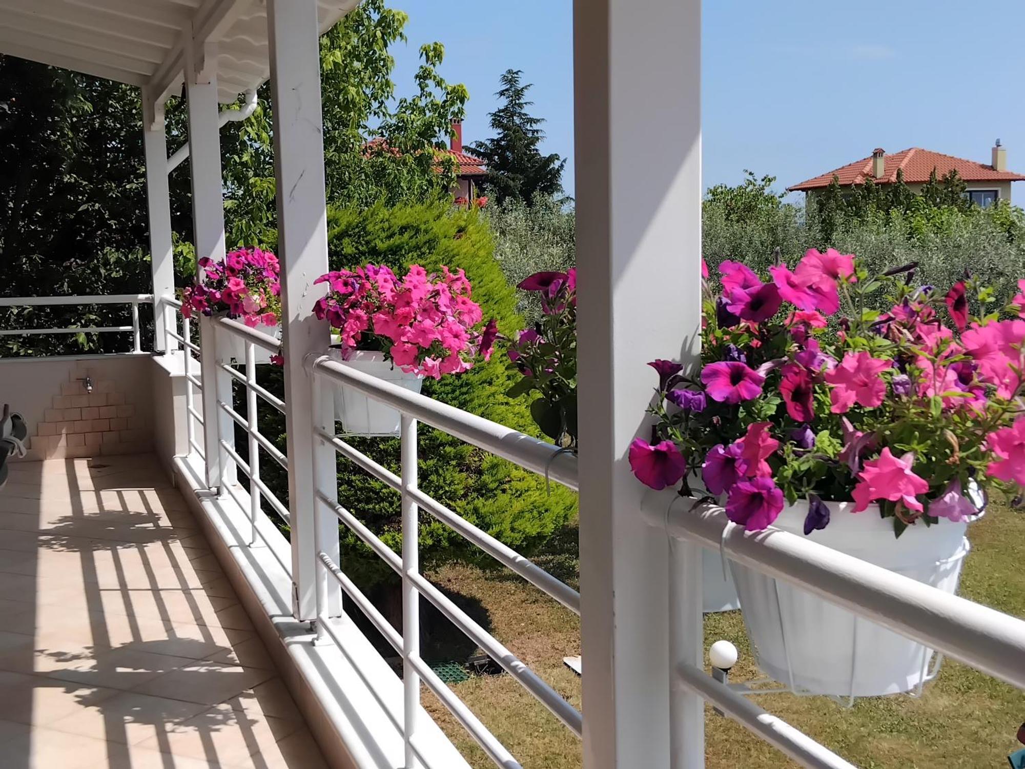 Tammy'S Garden House Villa Leptokaryá Ngoại thất bức ảnh