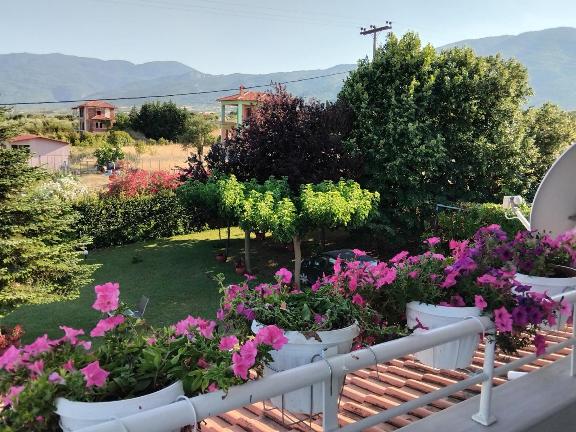 Tammy'S Garden House Villa Leptokaryá Ngoại thất bức ảnh
