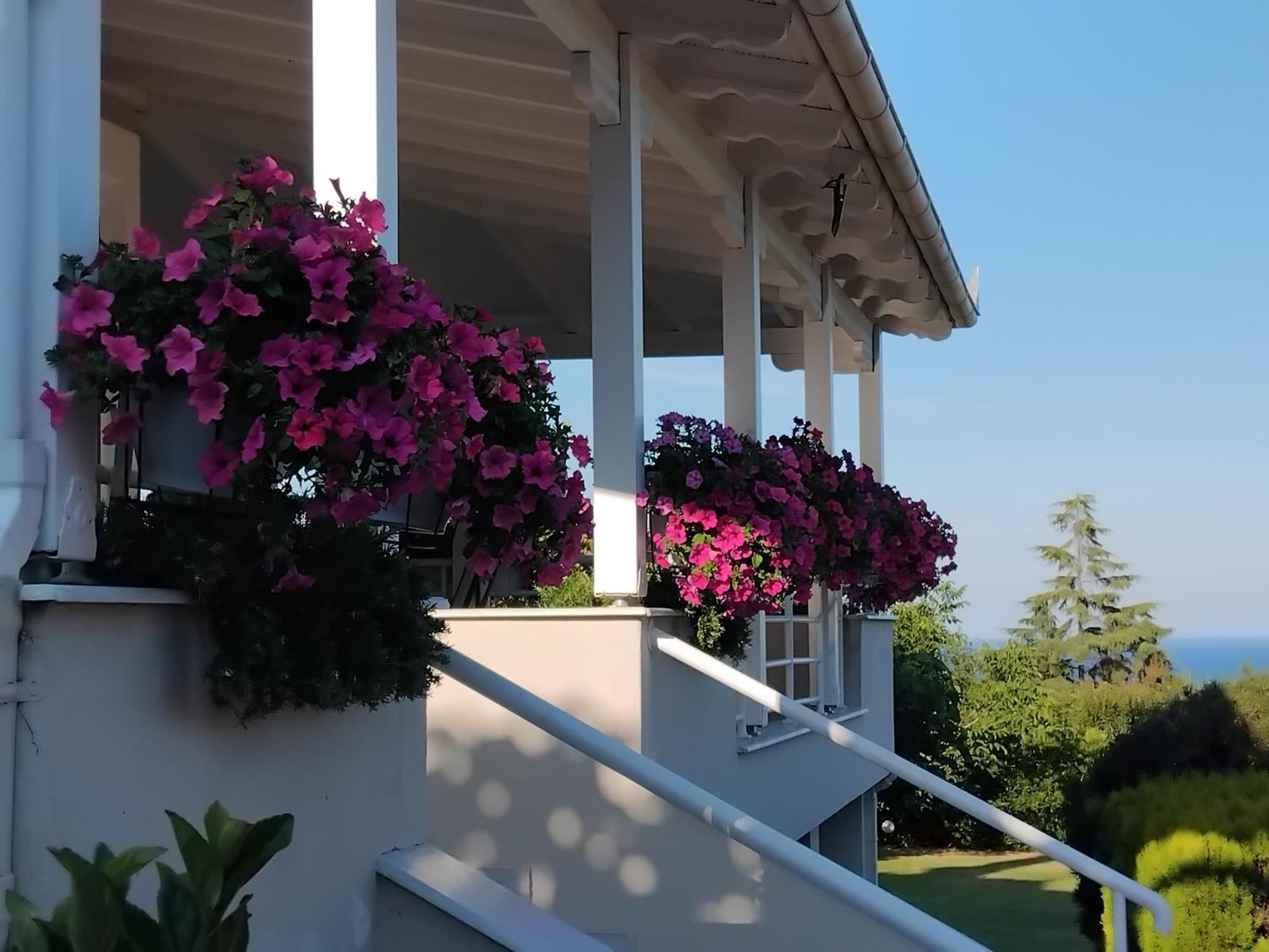 Tammy'S Garden House Villa Leptokaryá Ngoại thất bức ảnh