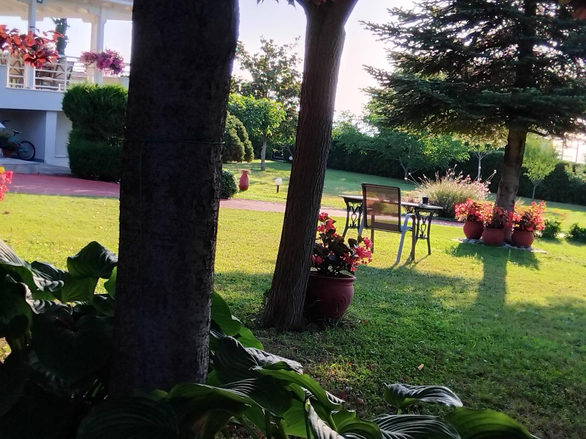 Tammy'S Garden House Villa Leptokaryá Ngoại thất bức ảnh